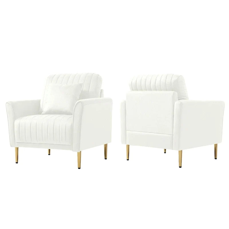 Velvet Accent Chair Living Room Chair Set of 2