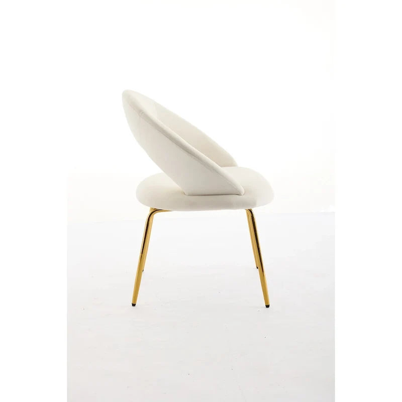 Chaises de salle à manger d'appoint en velours avec dossier incurvé et pieds en métal doré - Capacité de 113 kg