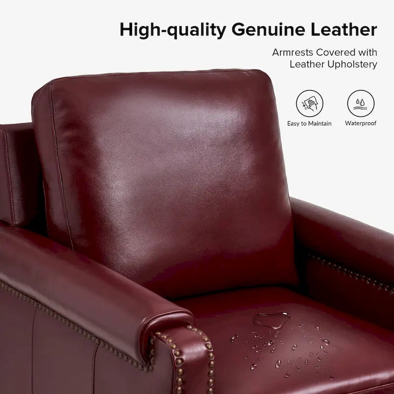 Kunz Transitional Genuine Leather Armchair with Removable Cushion and Nailhead Trims Set of 2 by HULALA HOME